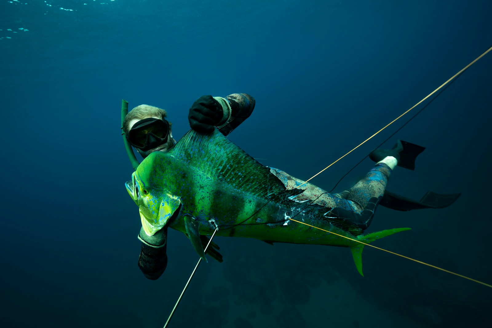 a large fish is hooked up to a rope