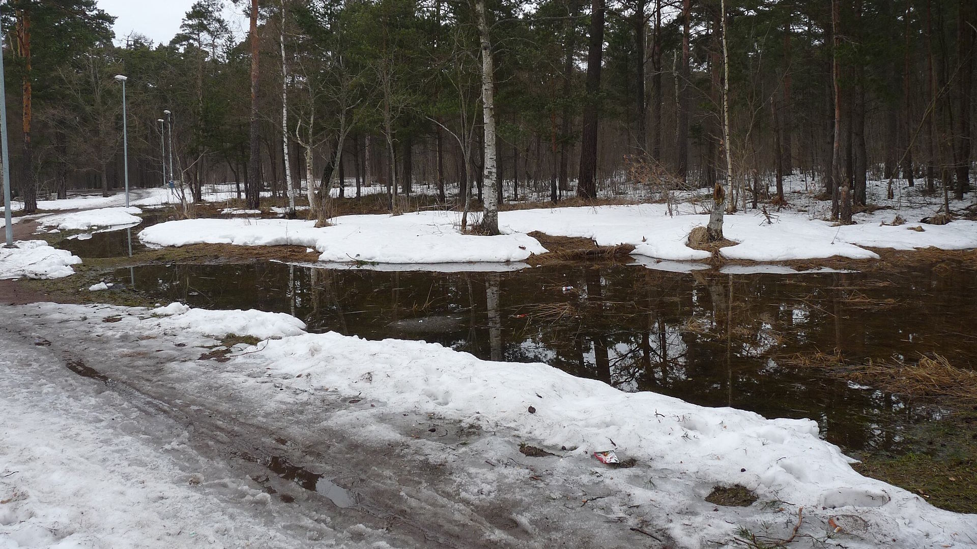 atches of melting snow on the ground next to a dark, muddy pool of water