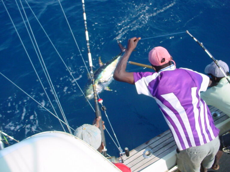 How to Remove a Hook From a Fish Without Injury - Fishing Adventures Guide